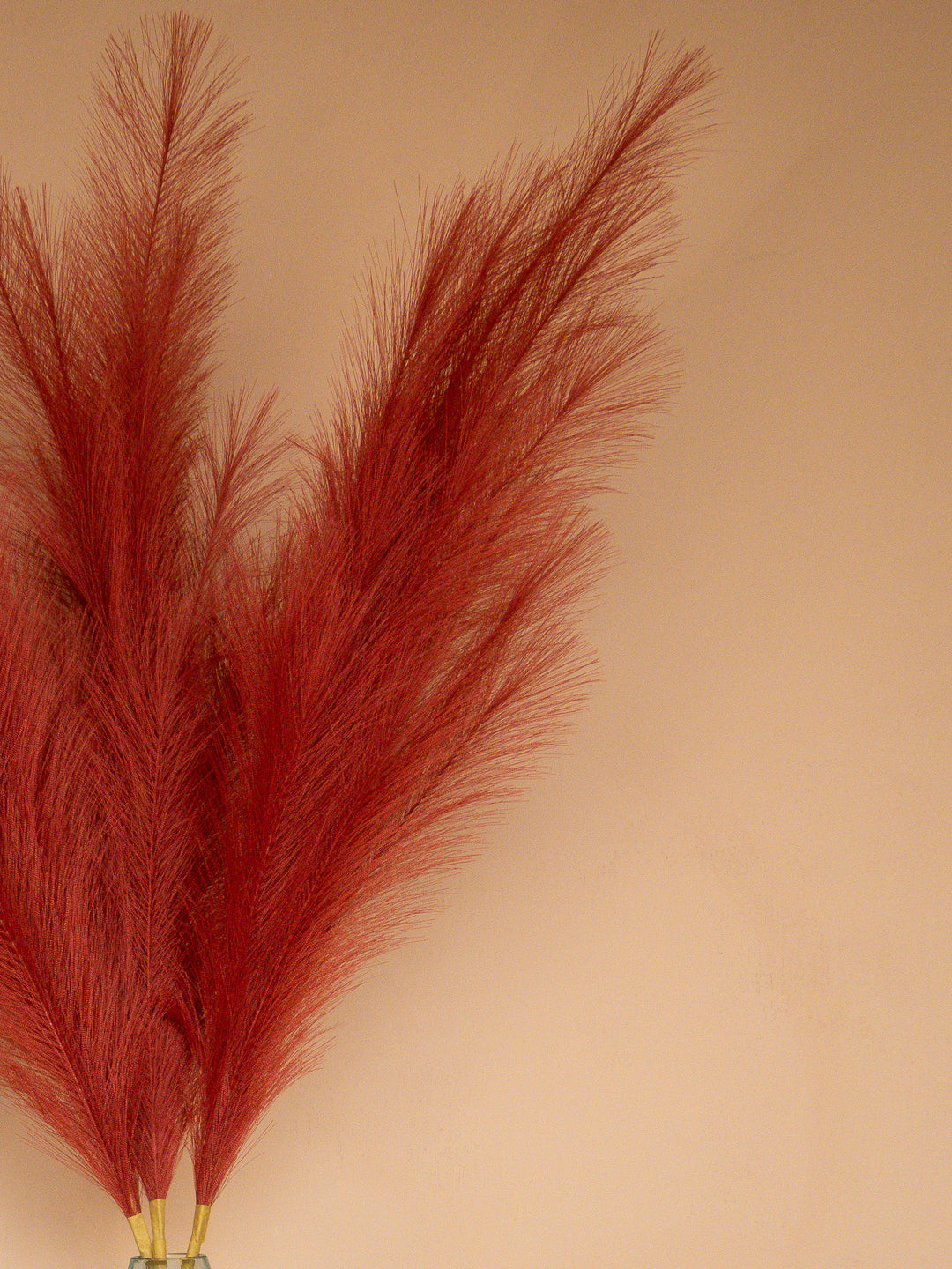 Pampas - 110cm - Rood (3 Stengels)