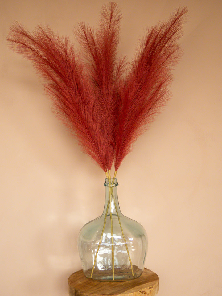 Pampas - 110cm - Rood (3 Stengels)