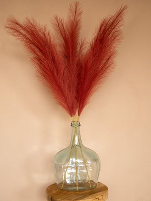 Pampas - 110cm - Rood (3 Stengels)