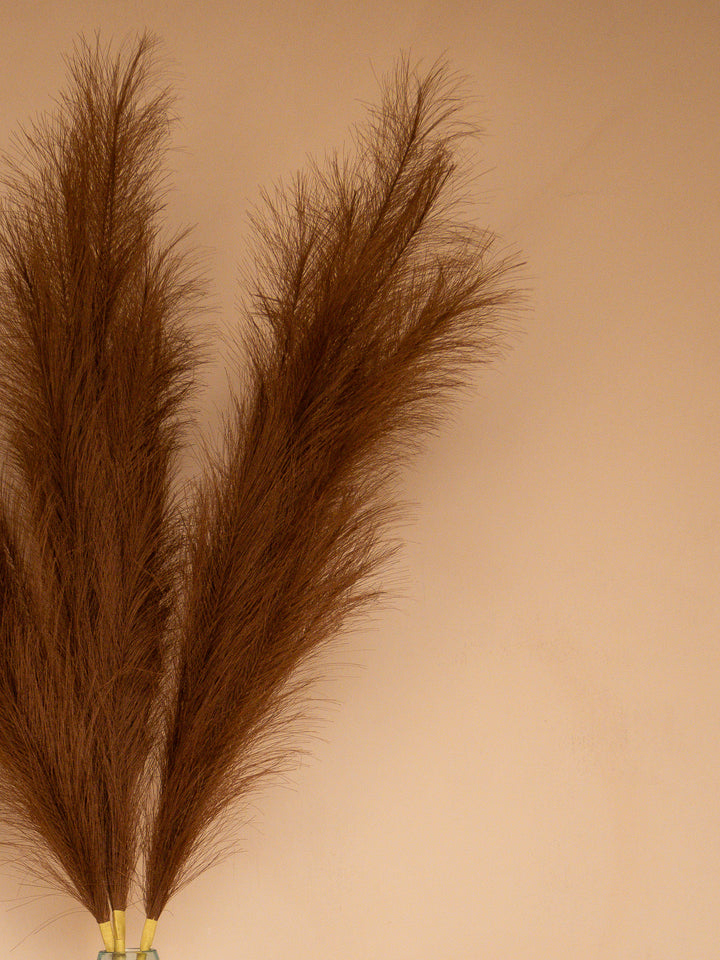 Pampas - 110cm - Donkerbruin (3 Stengels)