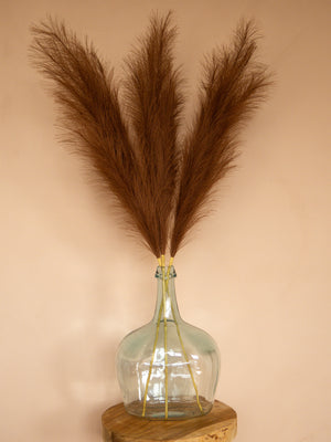 Pampas - 110cm - Donkerbruin (3 Stengels)