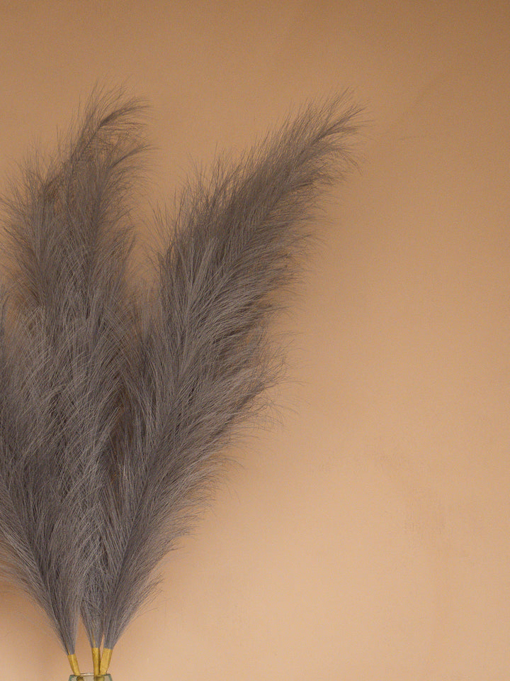 Pampas - 110cm - Grijs (3 Stengels)