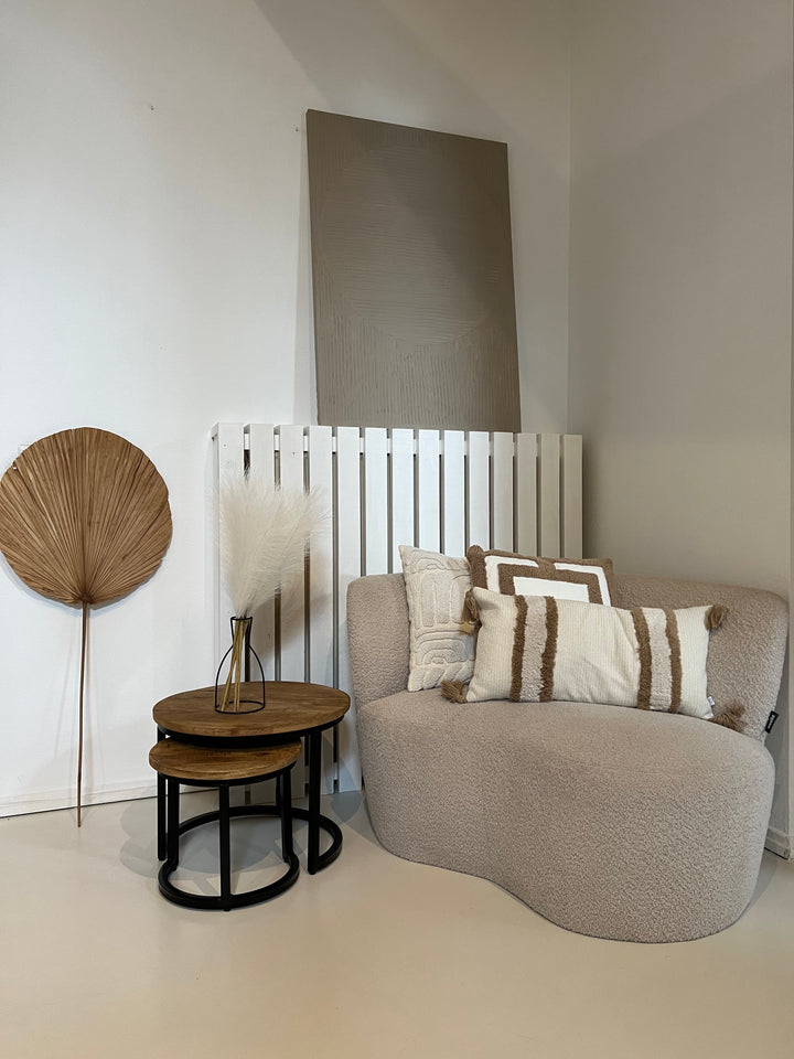 Pampas - 60cm - Wit (5 Stengels)